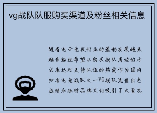 vg战队队服购买渠道及粉丝相关信息